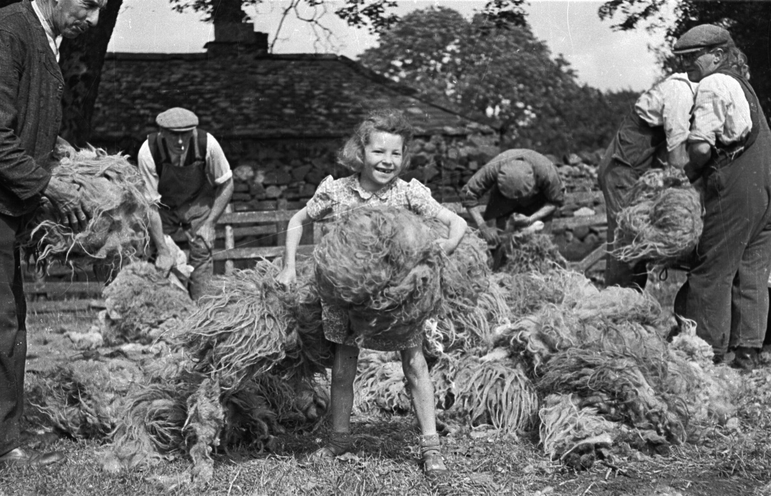 Young girl helps bring fleeces to the barn, August 1943 (Kurt Hutton/Picture Post/Getty Images)
