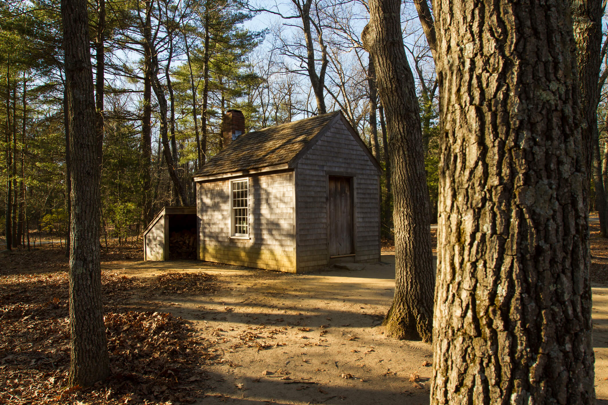 Recreation of Thoreau's Cabin at Walden Pond in Massachusetts (Nick Pederson/Getty Images)