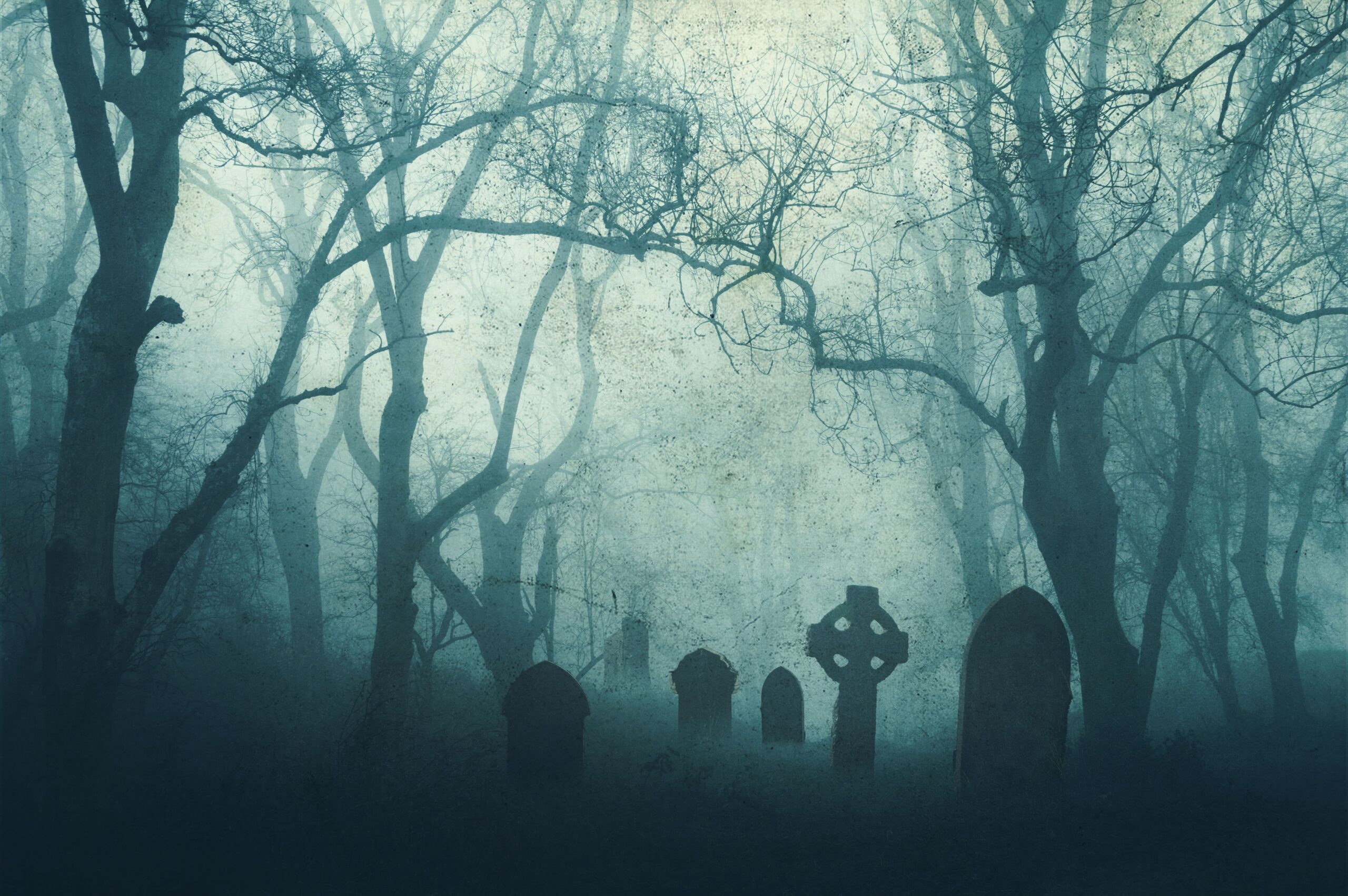 Graveyard in a scary forest in winter, with the trees silhouetted by fog. (David Wall/Moment via Getty Images)