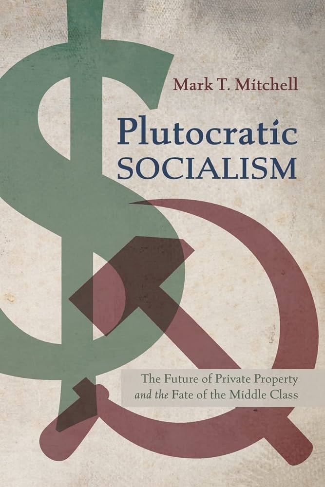 Book cover of Plutocratic Socialism by Mark Mitchell