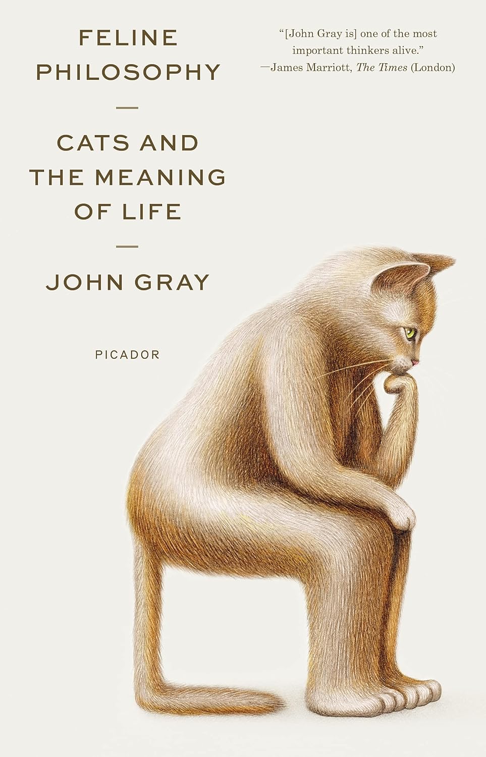John Gray, Feline Philosophy book cover
