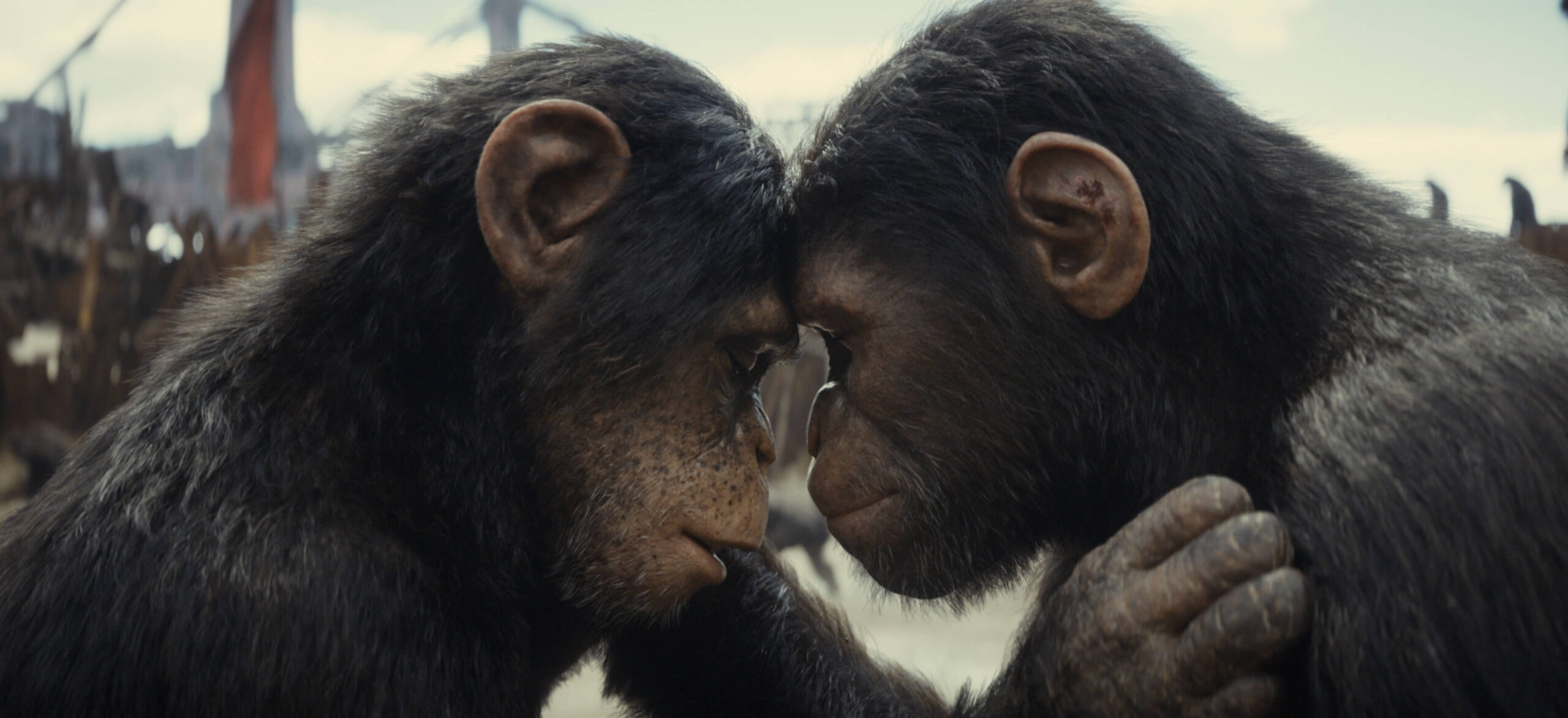 Kingdom of the Planet of the Apes (Disney)
